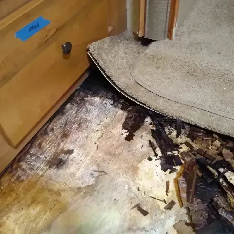 Wood Floor Water Damage in Gonzales, LA